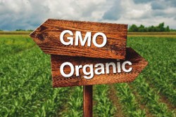 gmo/organic