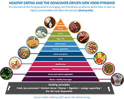 Healthy eating food pyramid