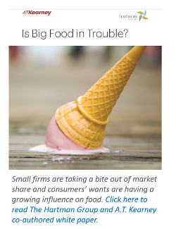 Is big food in trouble cover