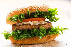 Plant based burger