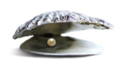 oyster with a peal